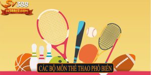 Các bộ môn thể thao phổ biến
