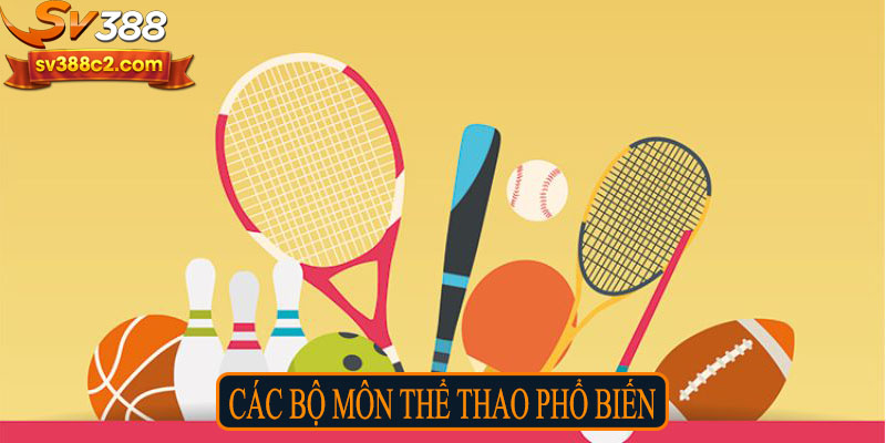 Các bộ môn thể thao phổ biến