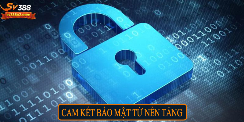 Cam kết bảo mật từ nền tảng