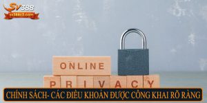 Chính sách, các điều khoản được công khai rõ ràng