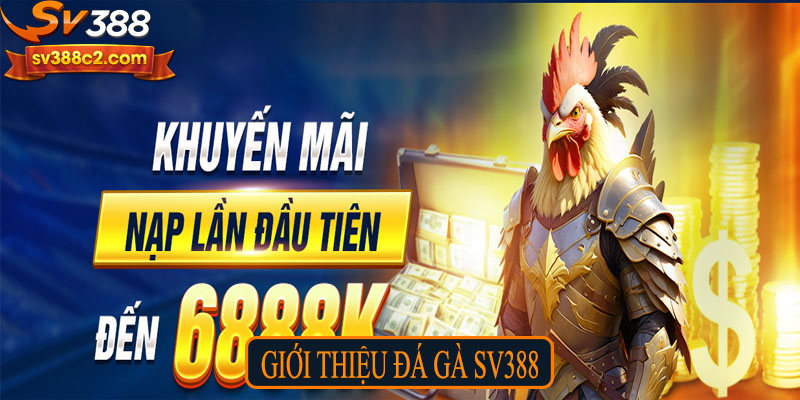 Giới thiệu đá gà SV388