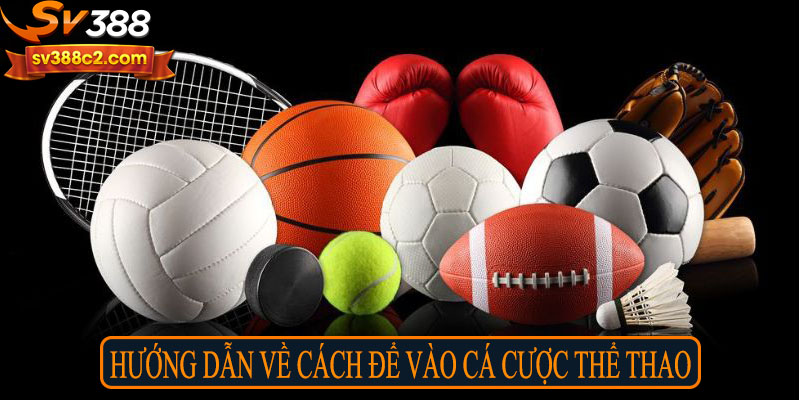 Hướng dẫn về cách để vào cá cược thể thao
