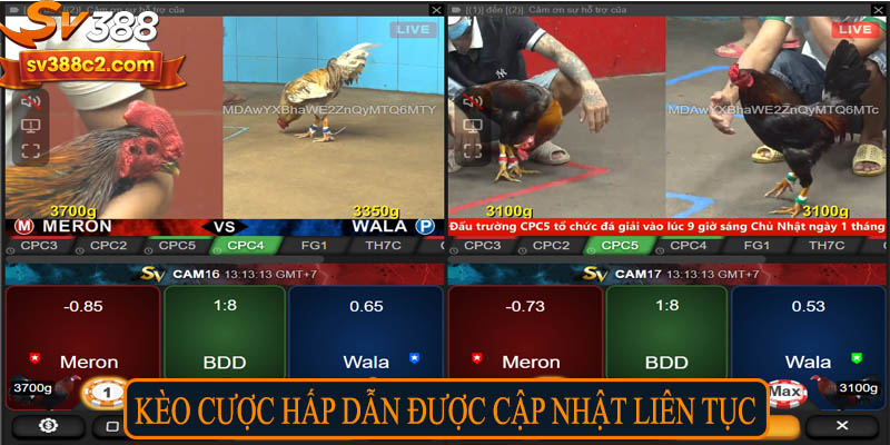 Kèo cược hấp dẫn được cập nhật liên tục