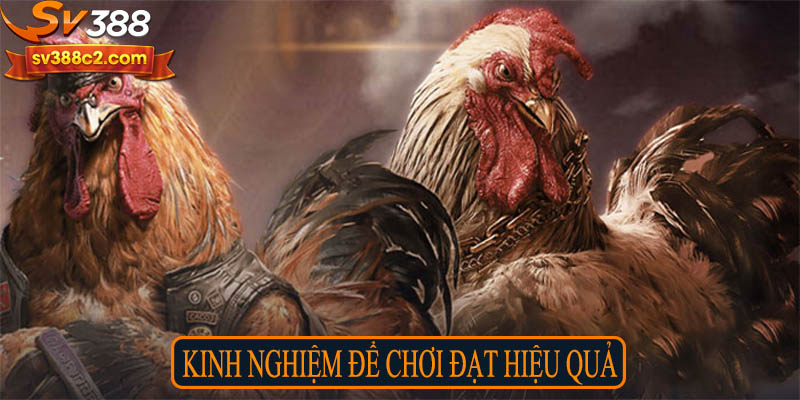 Kinh nghiệm để chơi đạt hiệu quả