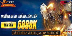 Lợi ích nhận về khi lựa chọn sảnh cược
