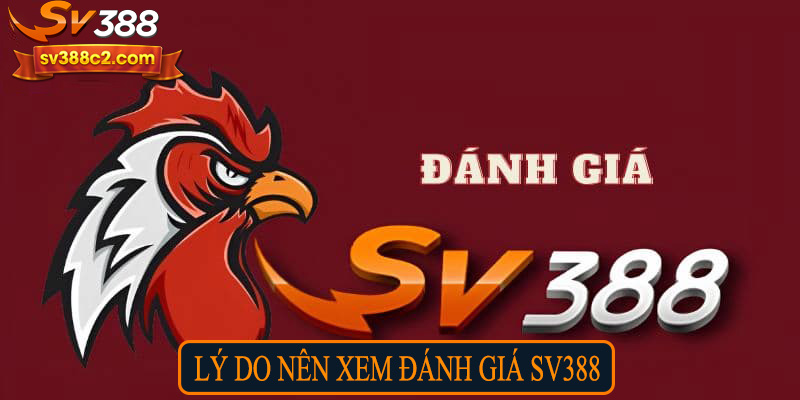 Lý do nên xem đánh giá Sv388