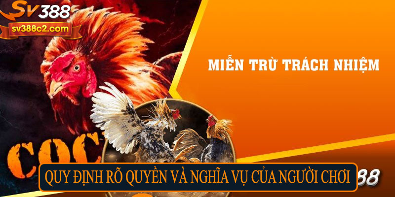Quy định rõ quyền và nghĩa vụ của người chơi
