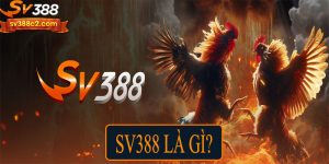 SV388 là gì?