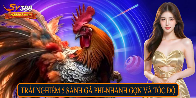 Trải nghiệm 5 sảnh gà phi- nhanh gọn và tốc độ