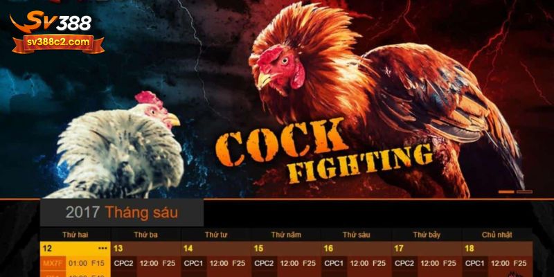 Tìm hiểu về lịch sử hình thành và phát triển của SV388