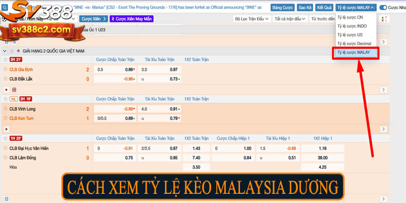 Cách xem tỷ lệ kèo Malaysia dương