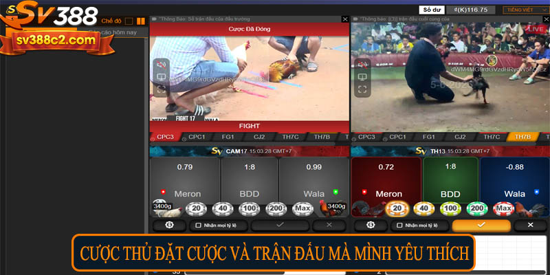 Cược thủ đặt cược vào trận đấu mà mình yêu thích