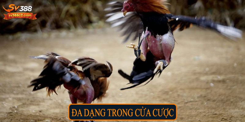 Đa dạng trong cửa cược