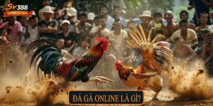 Đá gà online có bị bắt không?