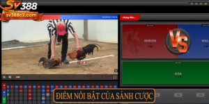 Điểm nổi bật của sảnh cược