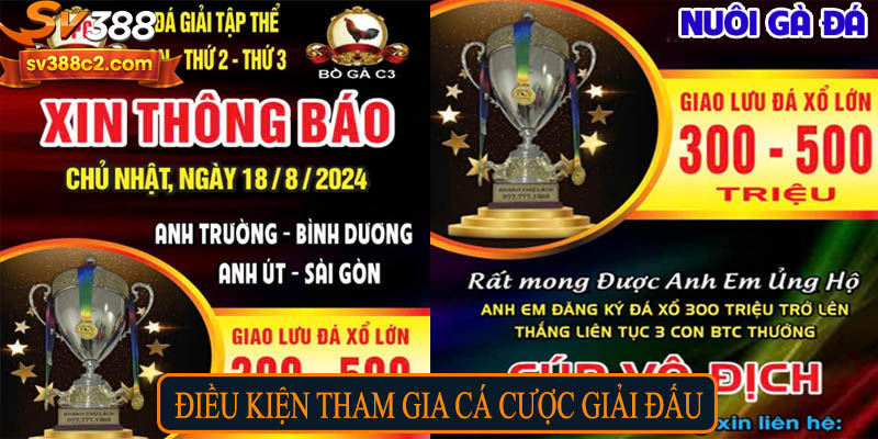 Điều kiện tham gia cá cược giải đấu