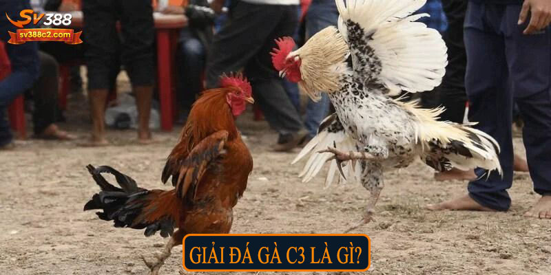 Giải đá gà c3 là gì?