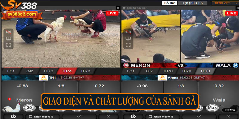 Giao diện và chất lượng của sảnh gà