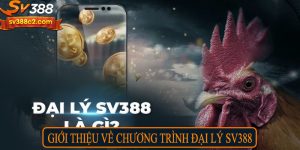 Giới thiệu về chương trình đại lý SV388