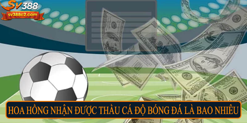 Hoa hồng nhận được thầu cá độ bóng đá là bao nhiêu