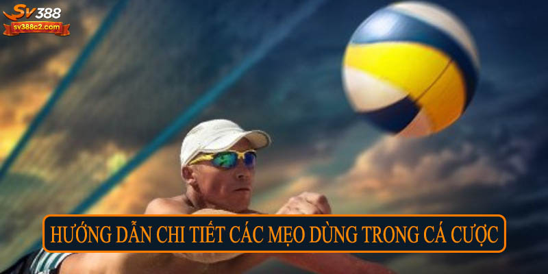 Hướng dẫn chi tiết các mẹo dùng trong cá cược