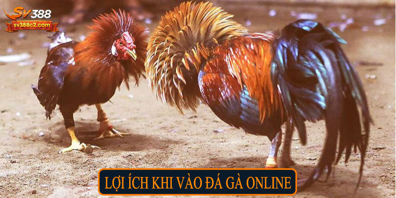 Lợi ích khi vào đá gà online