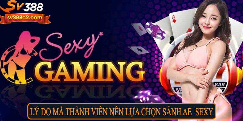 Lý do mà thành viên nên lựa chọn sảnh AE Sexy