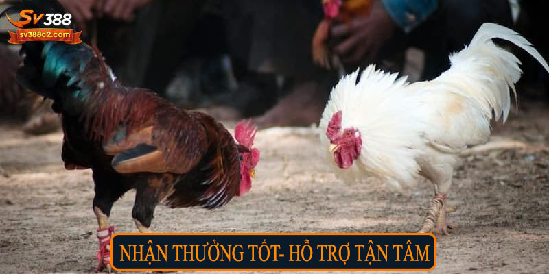 Nhận thưởng tốt, hỗ trợ tận tâm