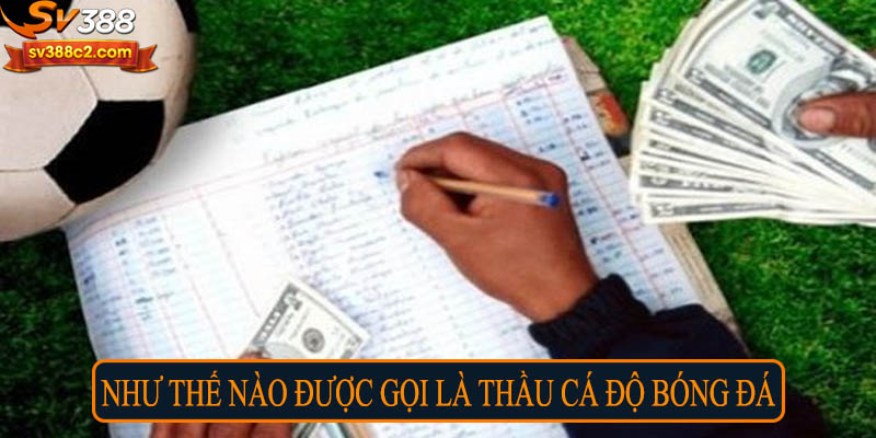 Như thế nào được gọi là thầu cá độ bóng đá