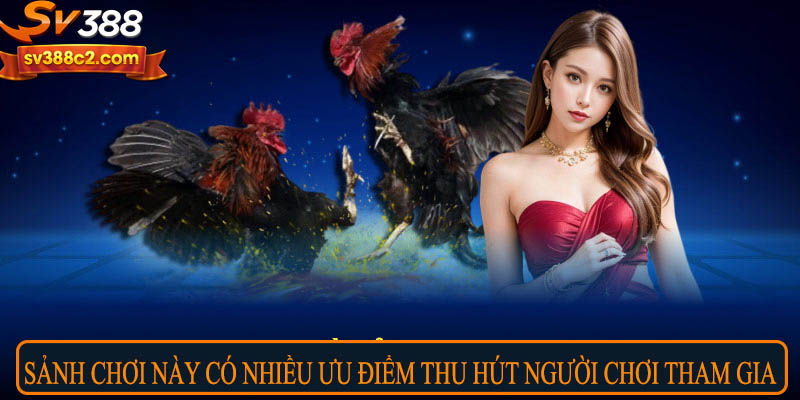 Sảnh chơi này có nhiều ưu điểm thu hút người chơi tham gia