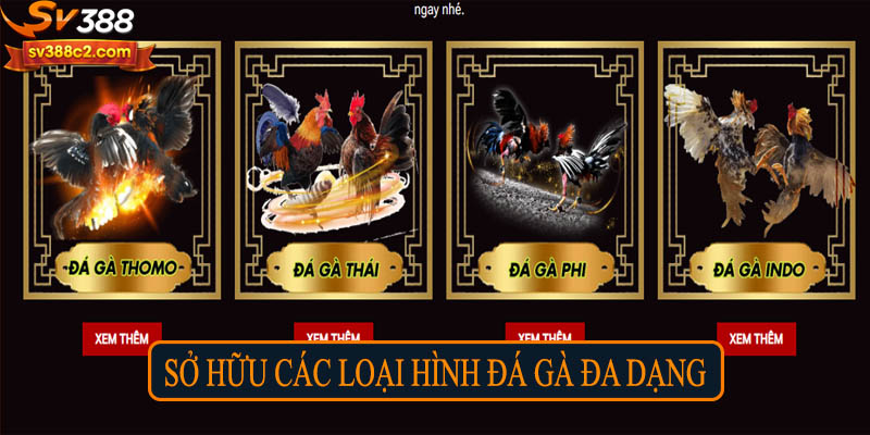 Sở hữu các loại hình đá gà đa dạng