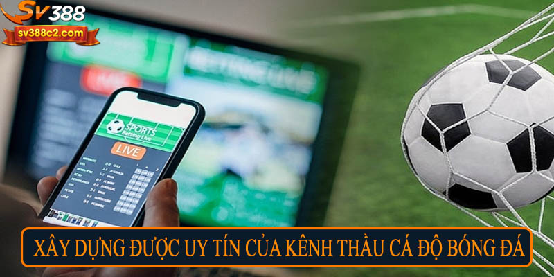 Xây dựng được uy tín của kênh thầu cá độ bóng đá